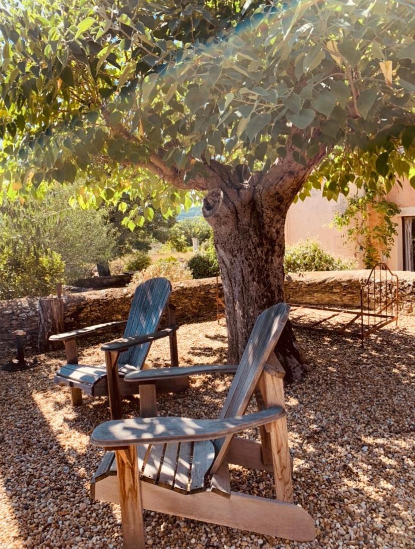 Le Vieux Portail Bed & Breakfast Saint-Saturnin-lès-Apt Dış mekan fotoğraf
