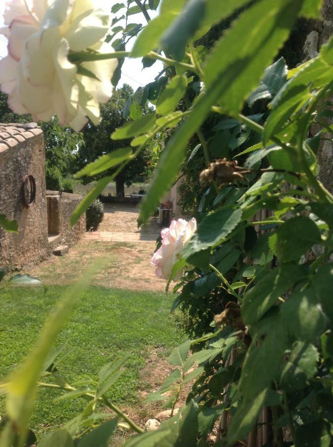 Le Vieux Portail Bed & Breakfast Saint-Saturnin-lès-Apt Dış mekan fotoğraf
